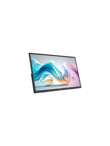 MSI PRO MP165 E6 PORTABLE MONITOR, 60HZ, 15.6", 4MS