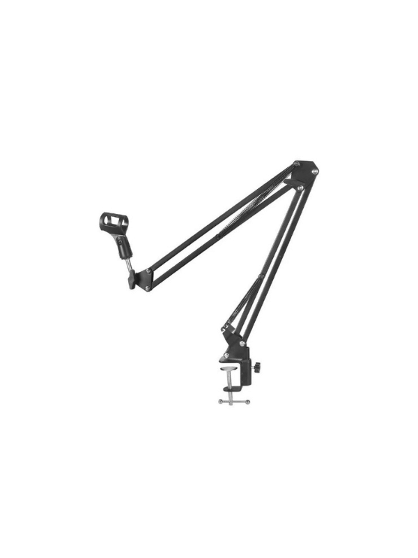 Professional Recording Microphone Stand, Black